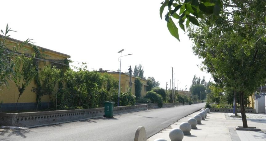 茌平区菜屯镇村庄景象