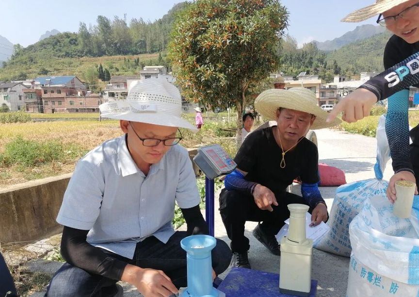 王先刚参与乡村振兴工作