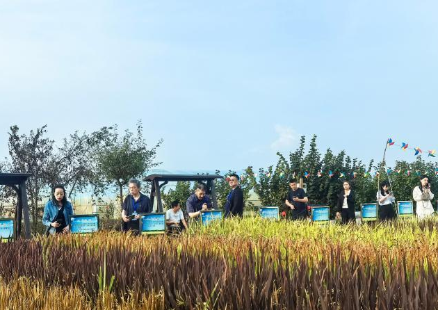 九月丰家庭农场