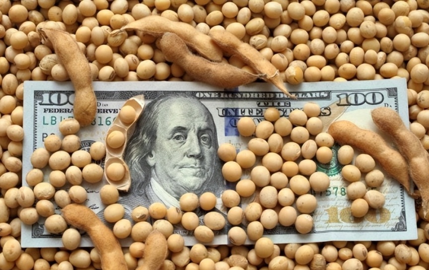 美国大豆与高粱出口受挫,中国转向巴西寻找替代供应商