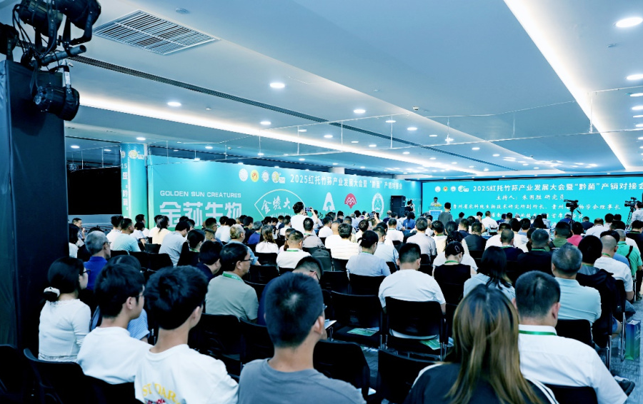 红托竹荪产业相关图片