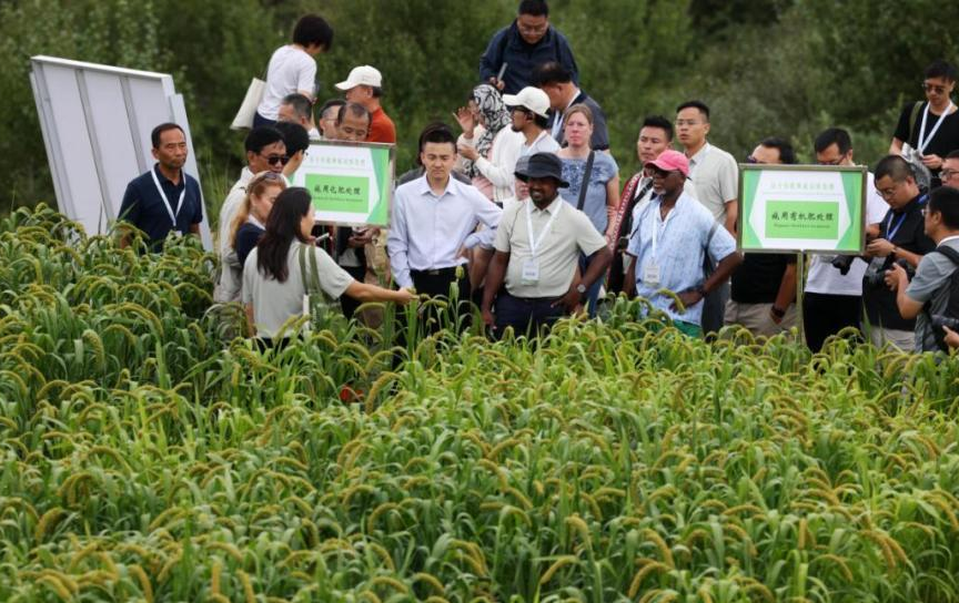 世界有机农业区域大会现场