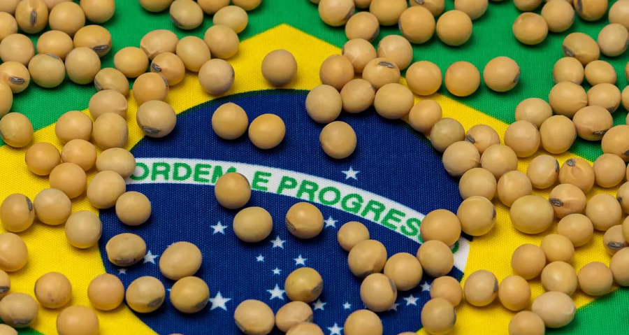 特朗普求情未果:中国不买美国大豆,美国农业面临严峻挑战