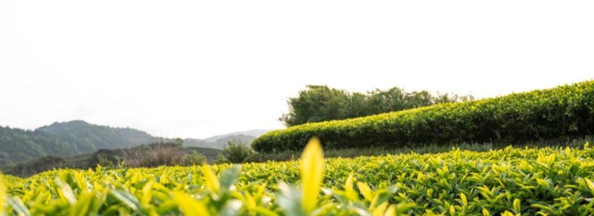 2025年复杂国际环境下，如何守好中国粮仓安全底线？