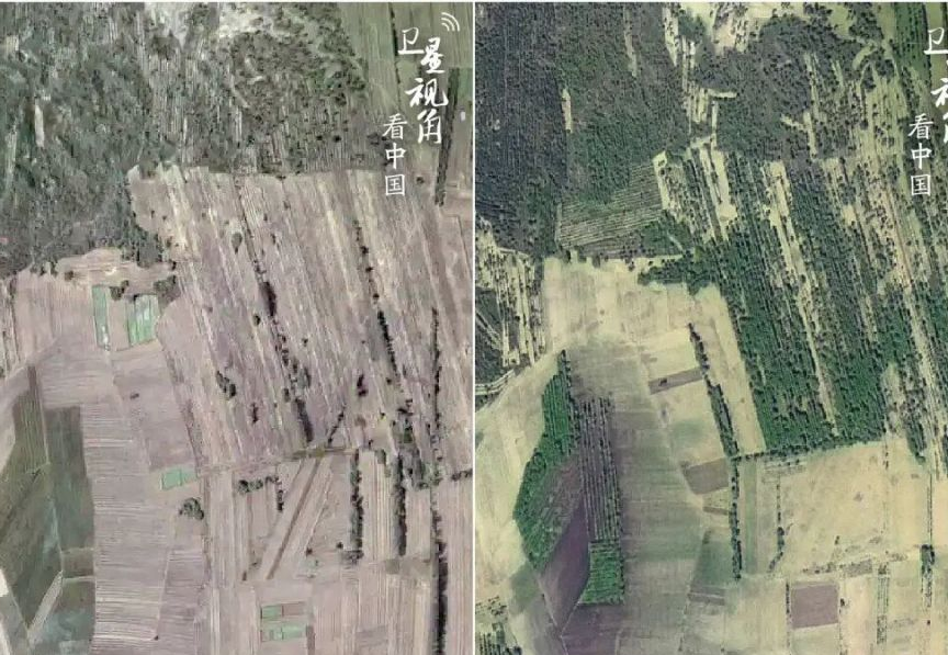 防沙治沙相关图片