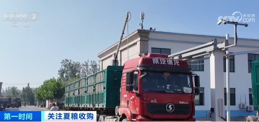 小麦收购点景象