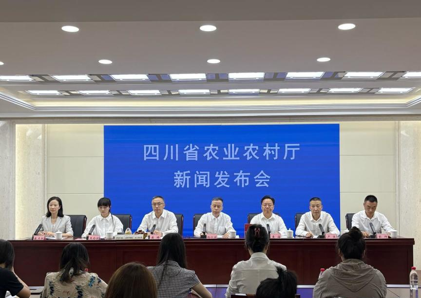 丰收节活动相关图片