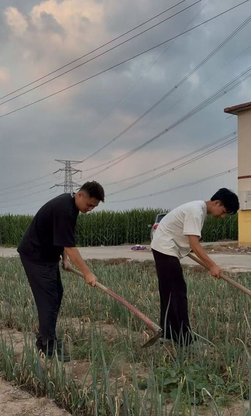 短视频记录田间日常