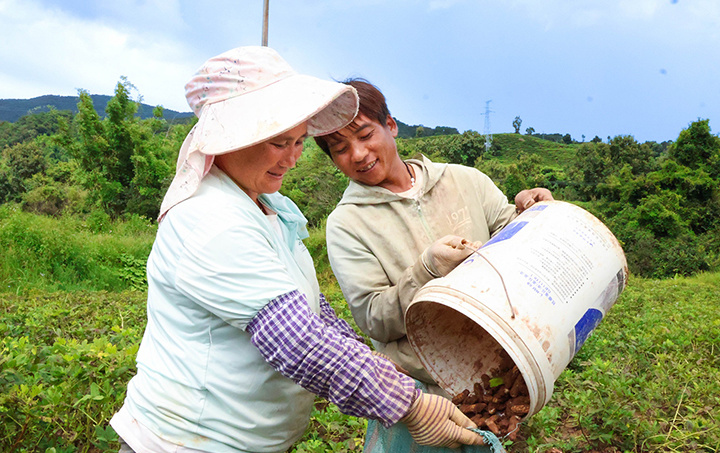 岩温兰家花生加工场景