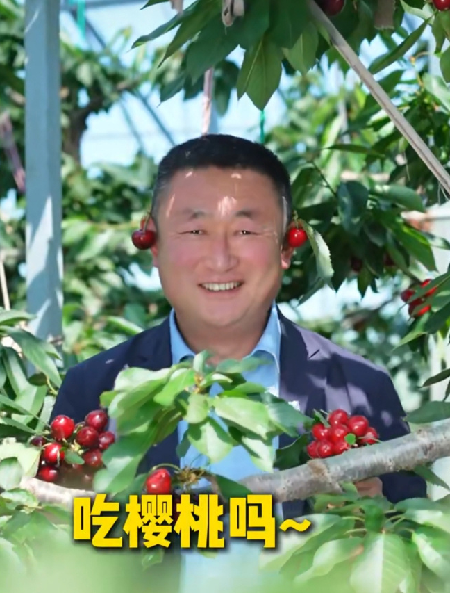 张爱军宣传樱桃视频画面
