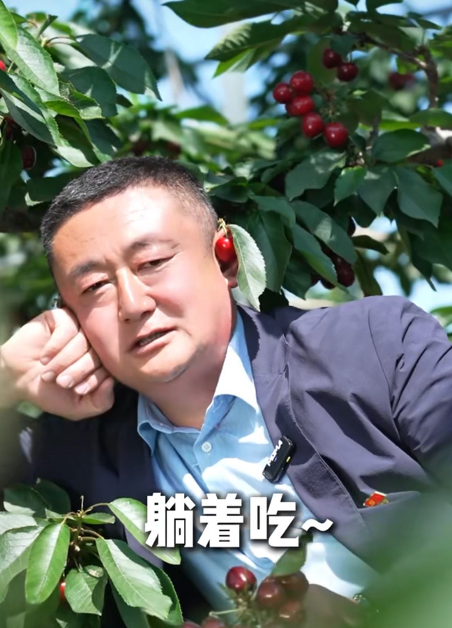 烟台村书记张爱军:用短视频带火樱桃销售,助力乡村振兴