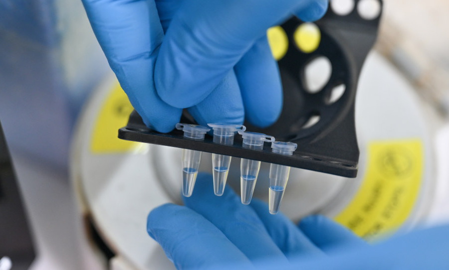 黄鳍金枪鱼养殖场景