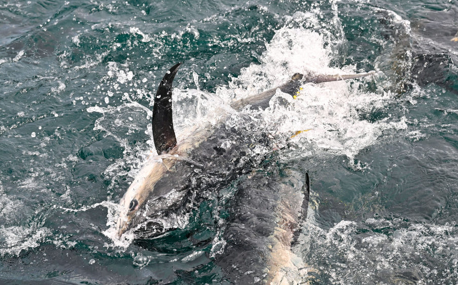 科研人员研究场景