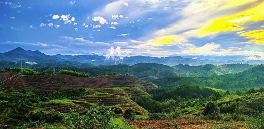 果园里的现代化设备