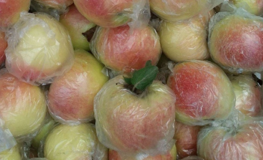 苹果树病虫害防治