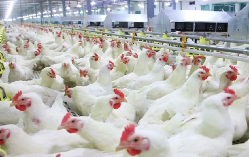 潍坊市农业企业拓展市场相关图片