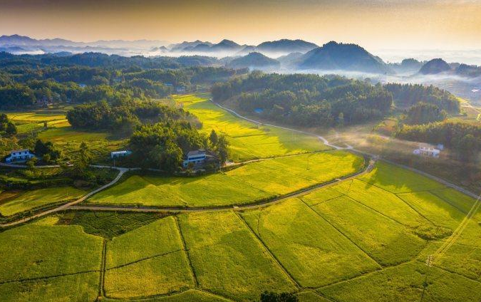 重庆农业科技创新