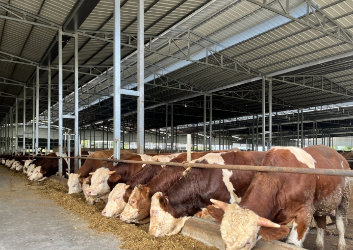 昭化区生态循环农业场景