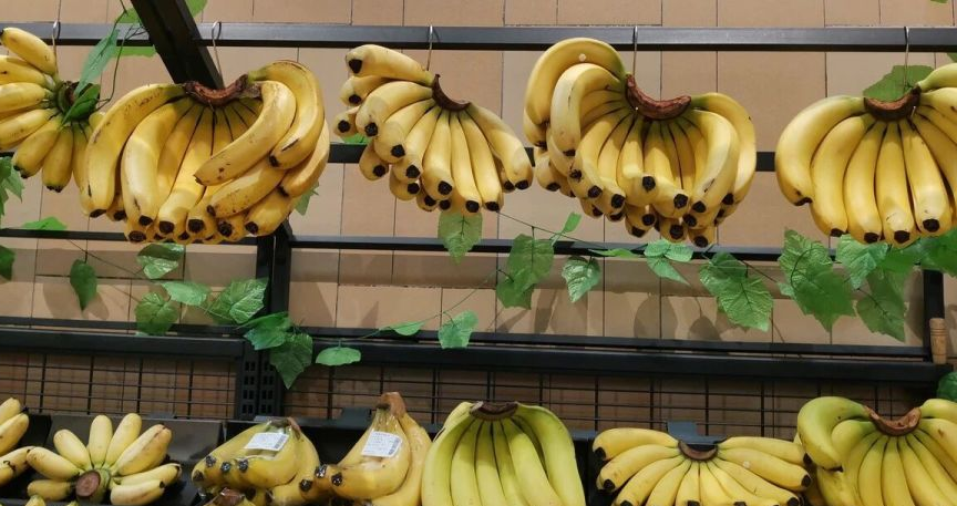 国产香蕉为何在精品商超中难觅踪迹?