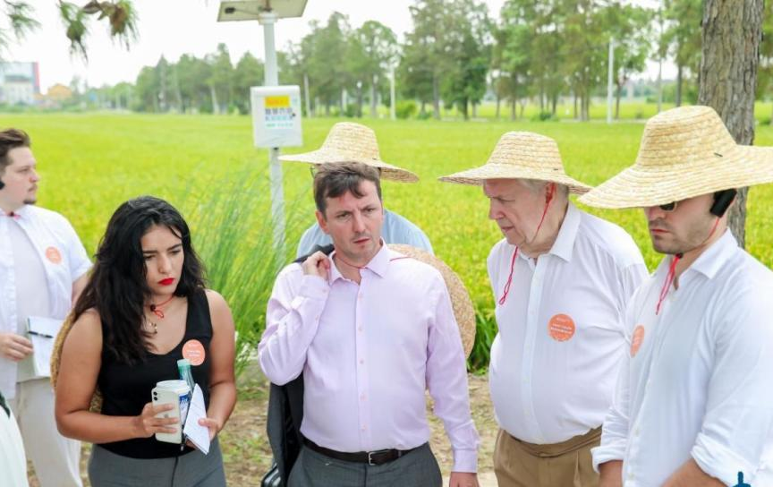 数字大屏展示数据