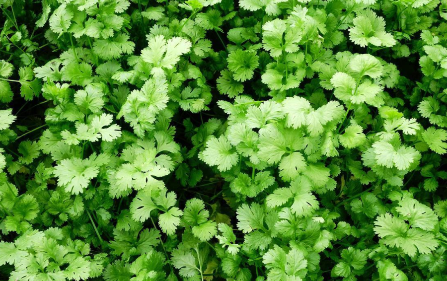 Localized image from t5.picb.cc