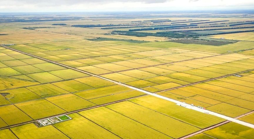 建三江平地场景