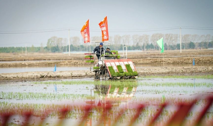 建三江农田改造场景