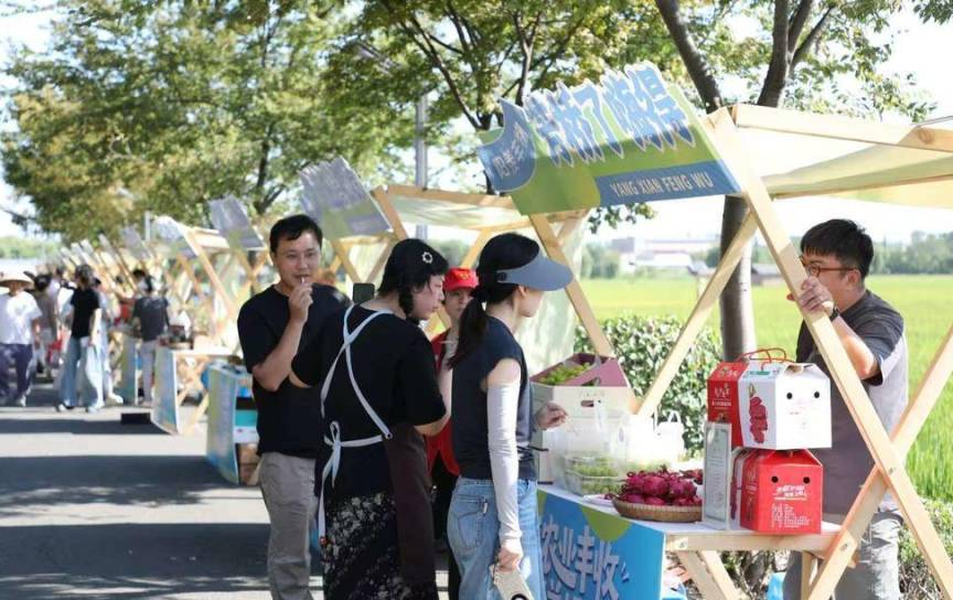 宜兴莲花荡遛遛岛