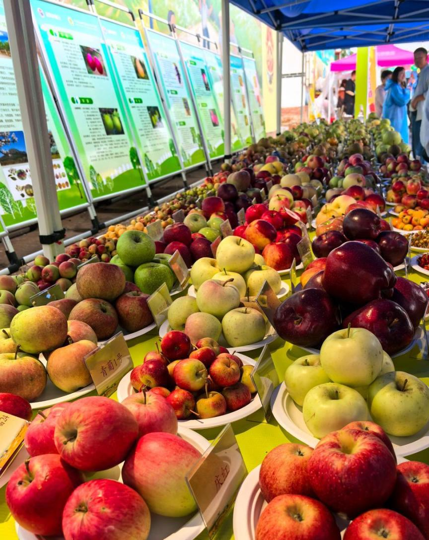 水果展图片