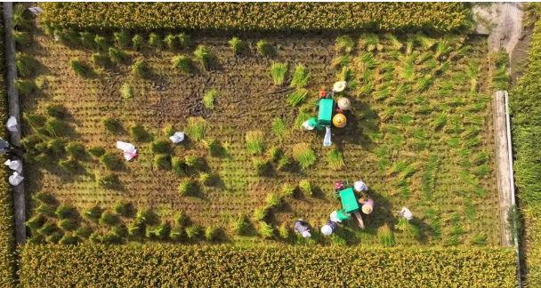 黔南州农业景象