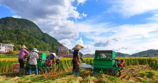 黔南州蔬菜种植