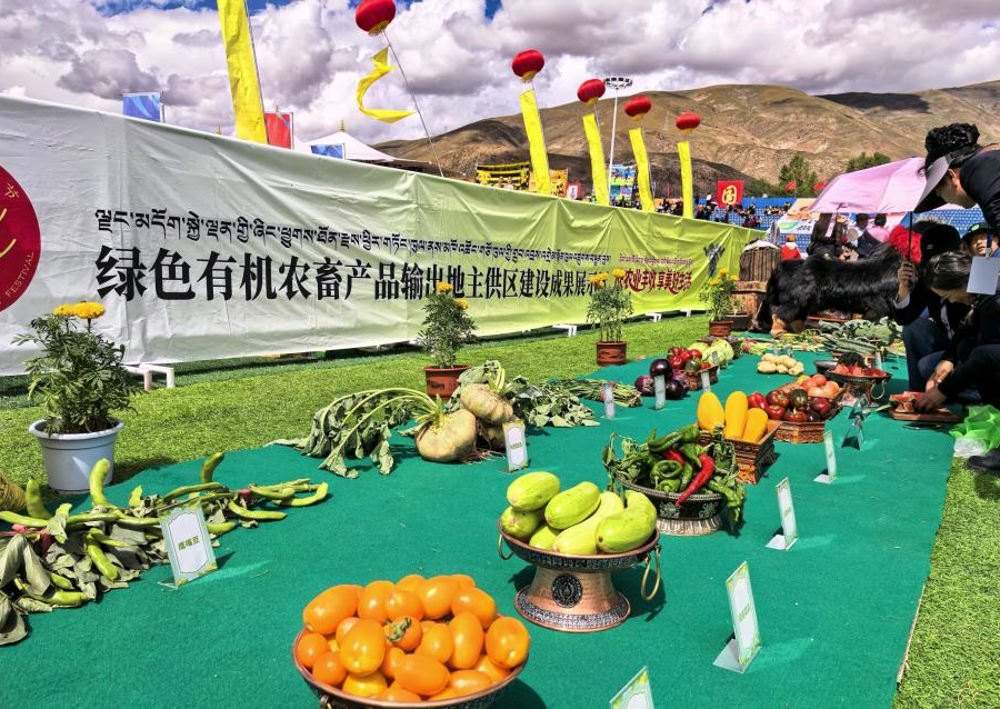 互助土族自治县丰收节现场