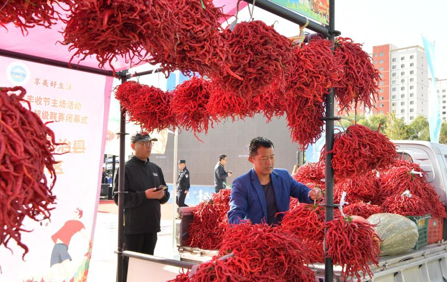 青海土特产推荐官直播大赛