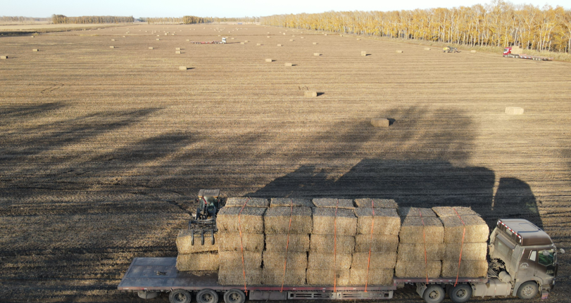 五九七农场秸秆打包场景