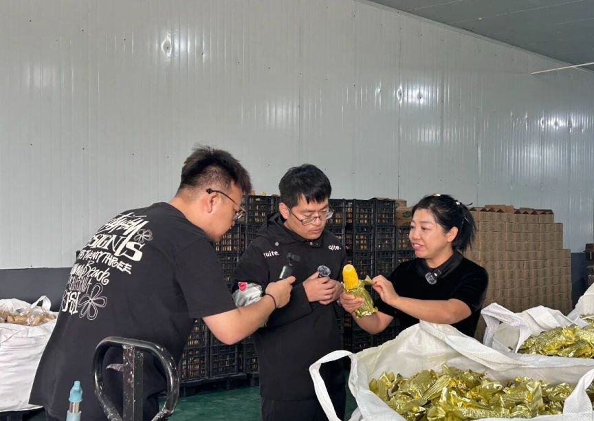 突泉县田野丰收景象