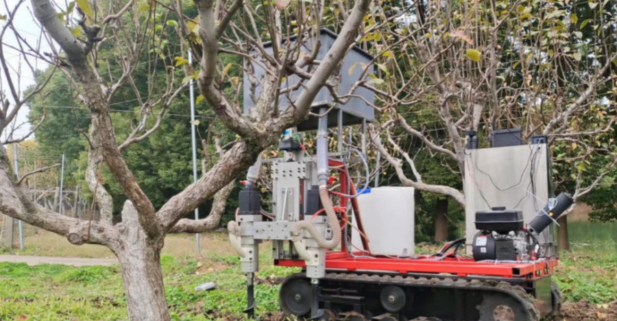 赣州龙灵农场脐橙园