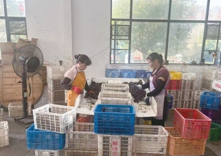 湖北产地市场农业现代化相关图片