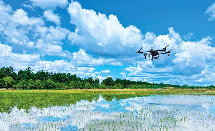 从北大荒到垂直农场：科技如何破解中国耕地瓶颈