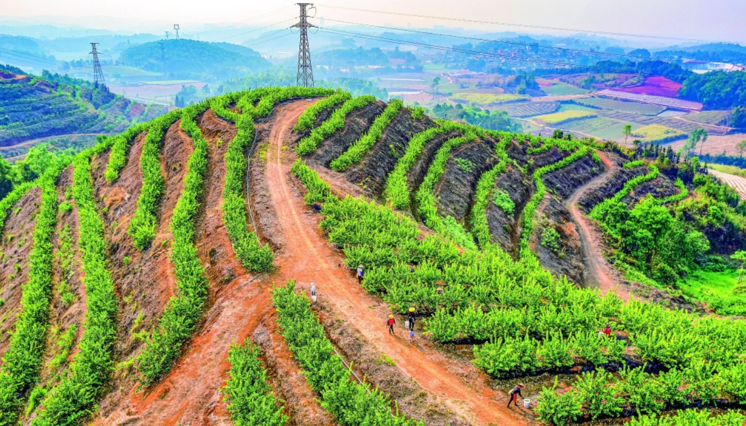 云南高原农业“三上”突围：种子上天、种植上网、产品上新