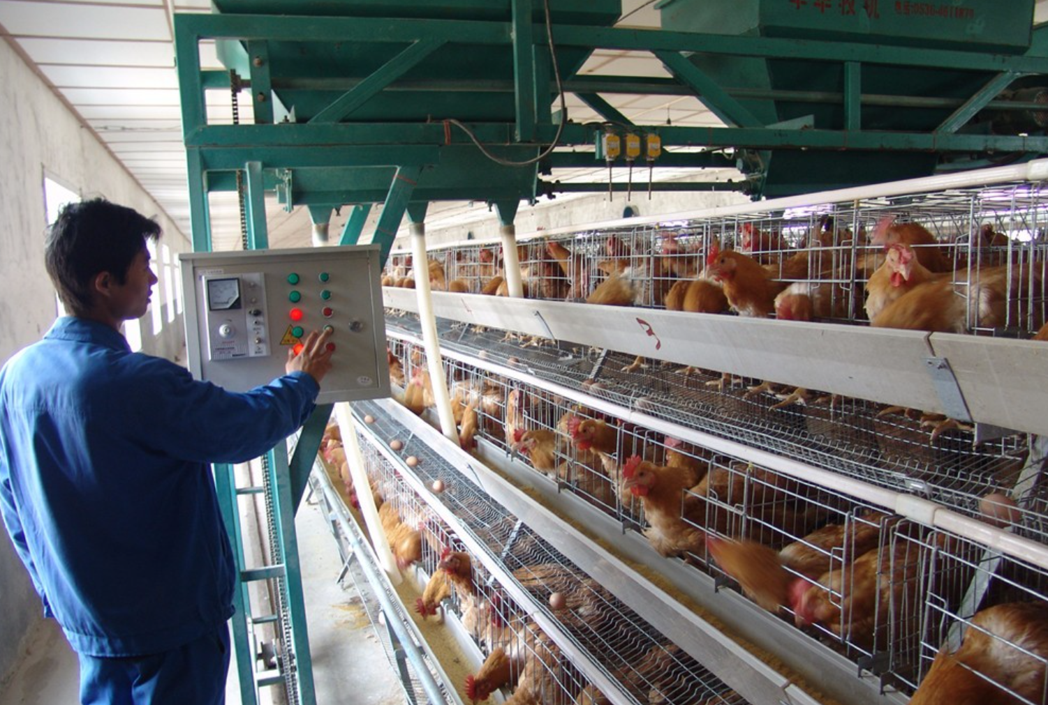 畜禽养殖禁养区是如何划定的？