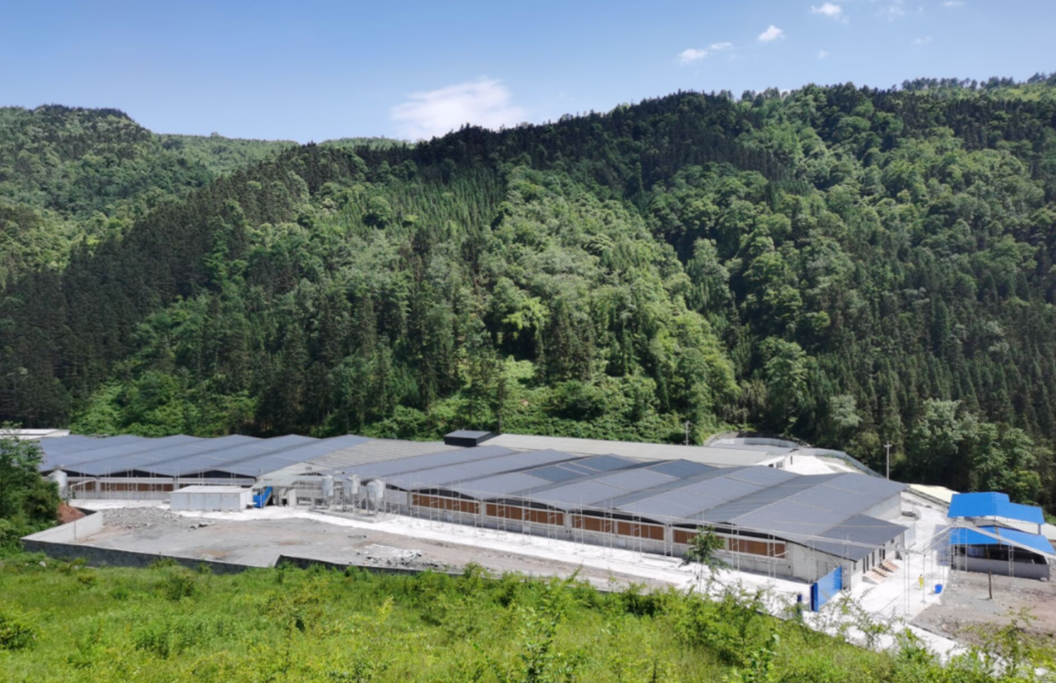 畜禽养殖禁养区是如何划定的？