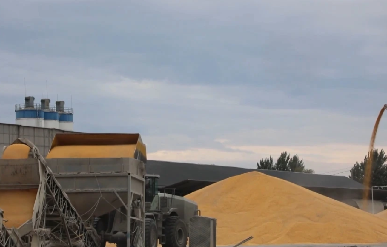 从田间到餐桌：“双节”米面油背后的科技保供链