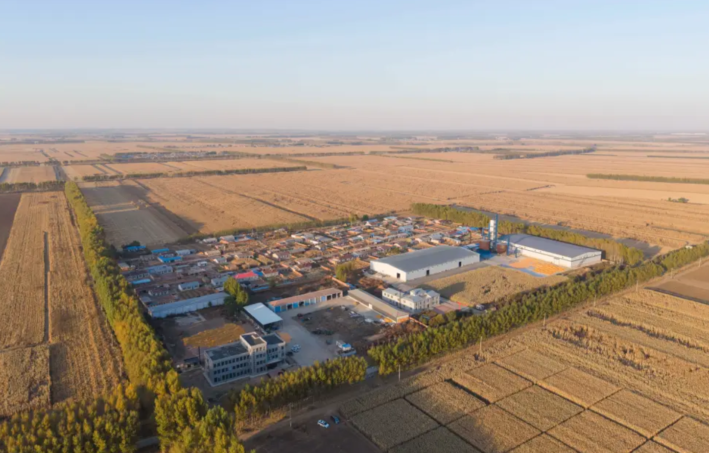 中国农大肇东实验站连续三年实现玉米“吨粮田”背后的技术密码