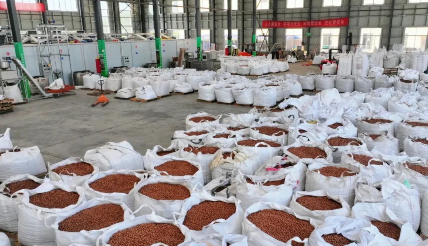 从青山“金果”到全国餐桌的产业升级之路