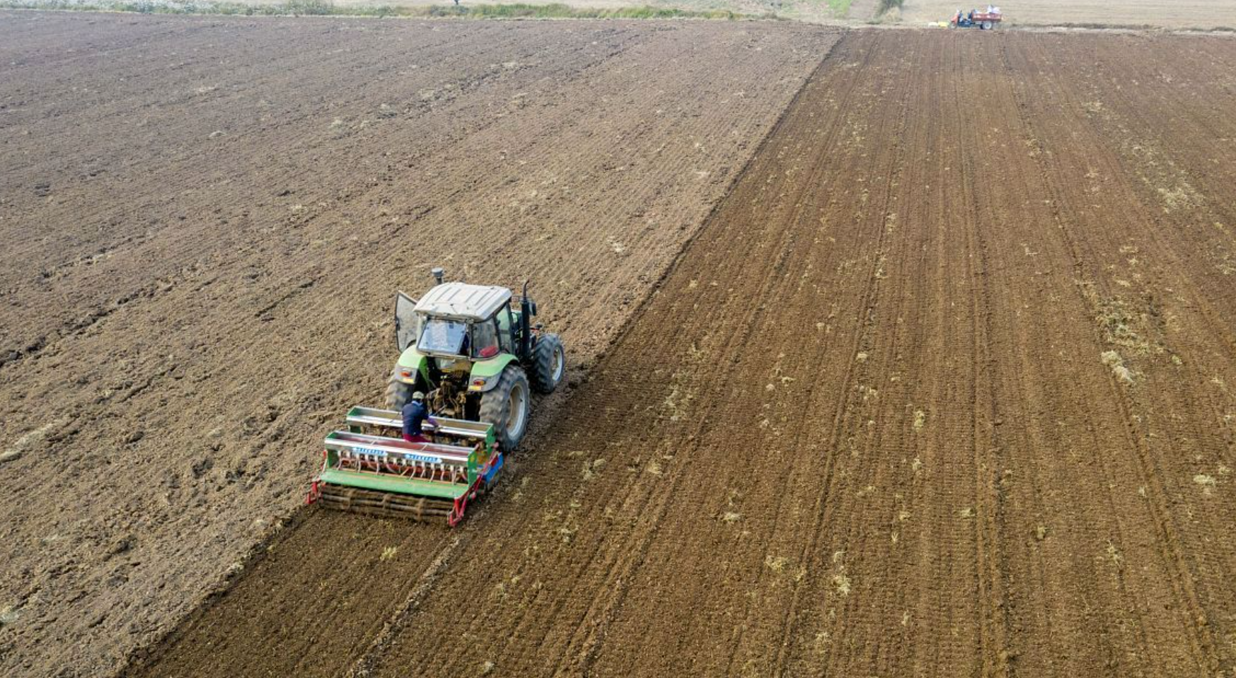 黄淮海麦区适期播种的温度标准