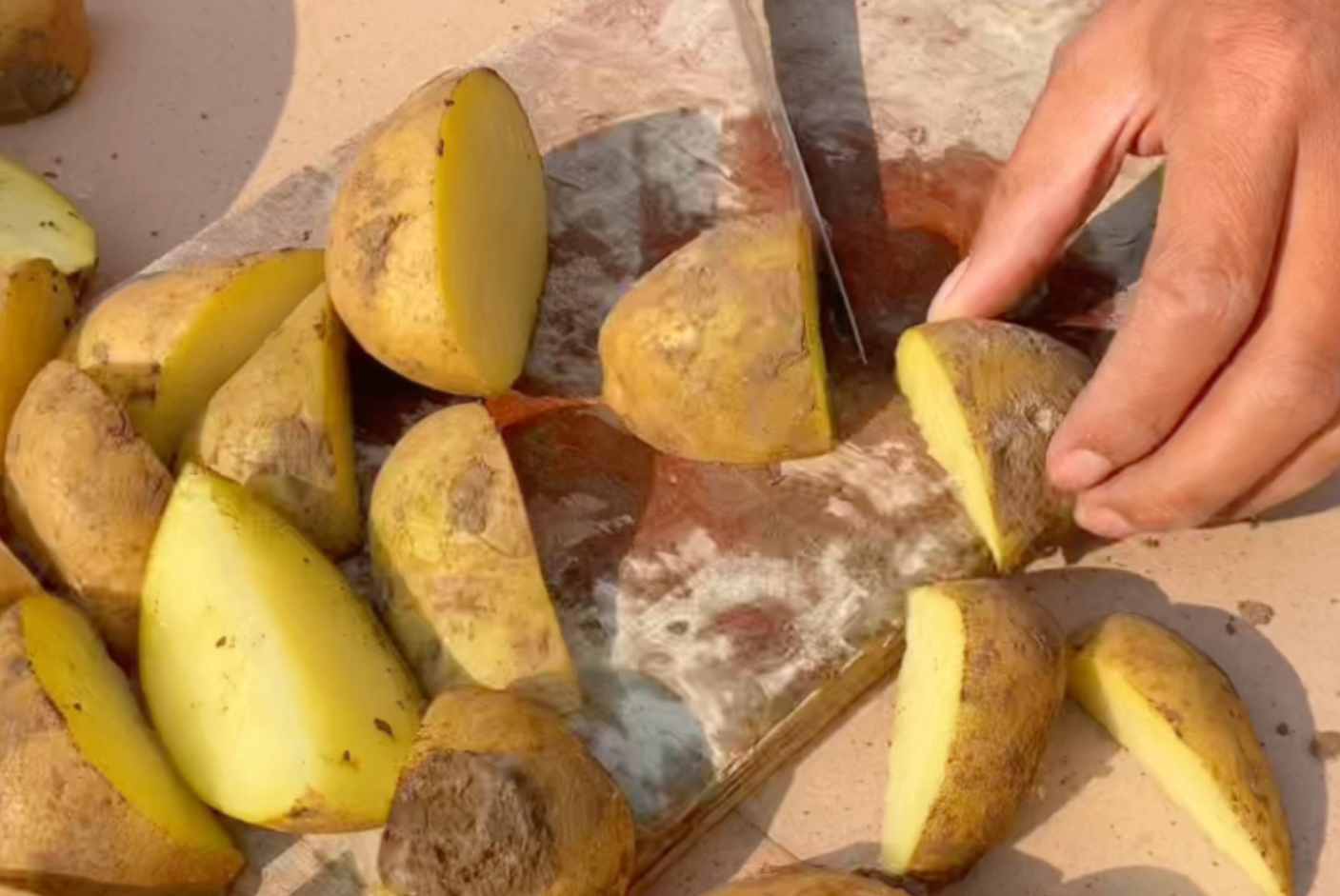 马铃薯种薯处理