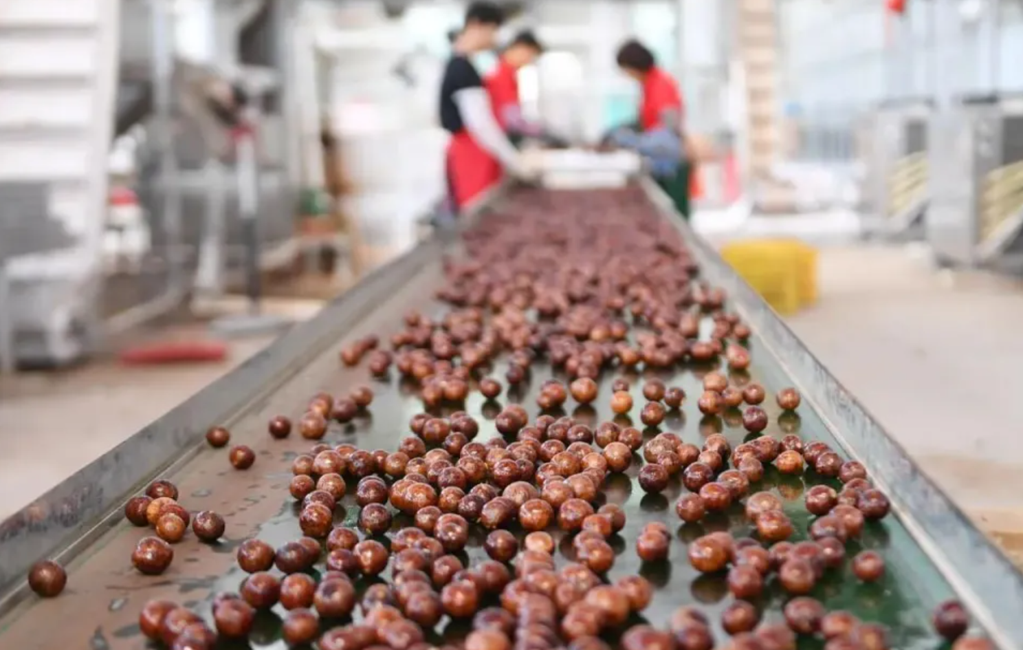 从青山“金果”到全国餐桌的产业升级之路