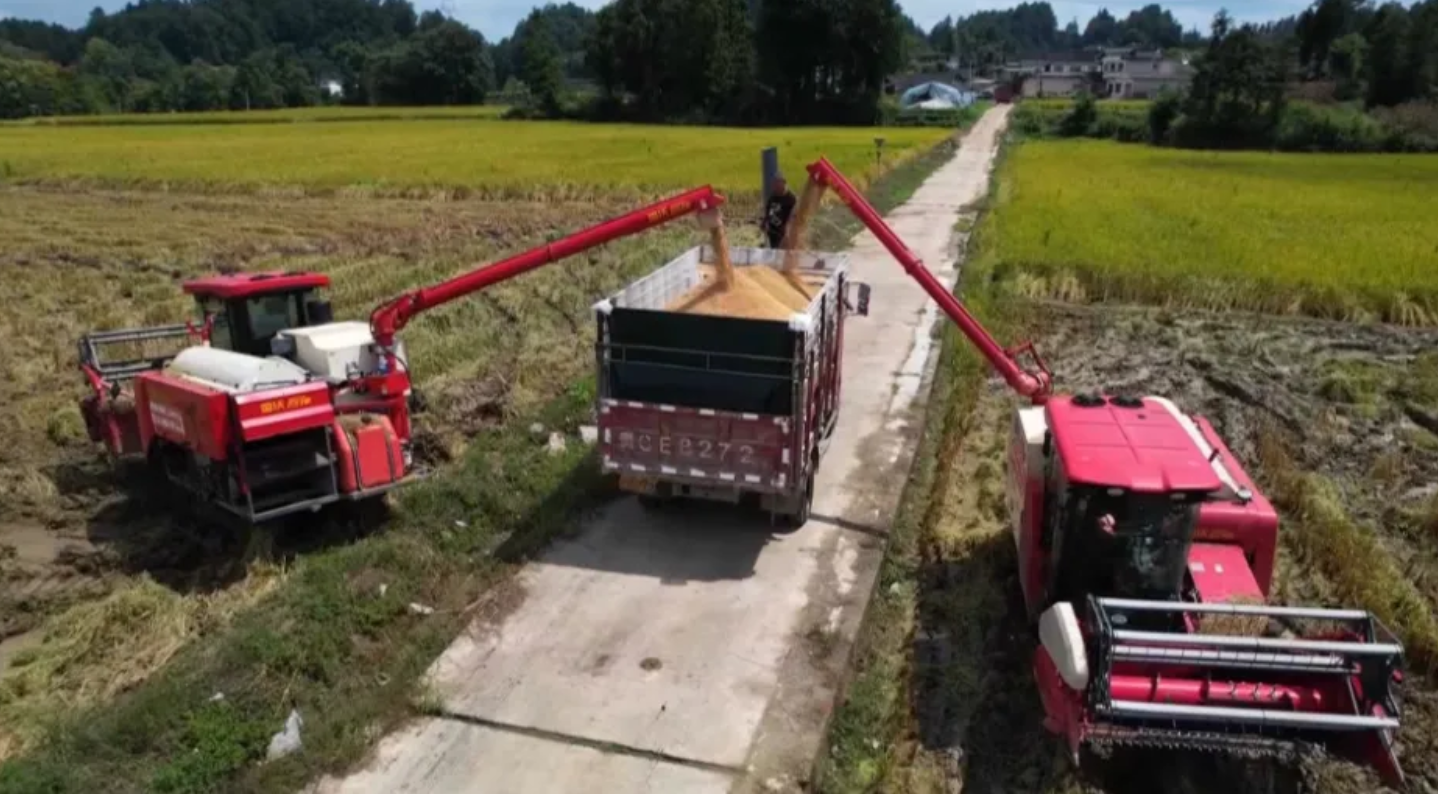 “铁牛” 替人耕冬田