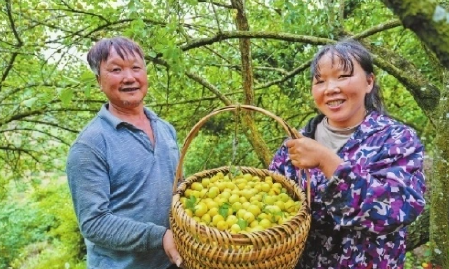 福州探索城乡融合新路径 打造宜居宜业和美乡村样板