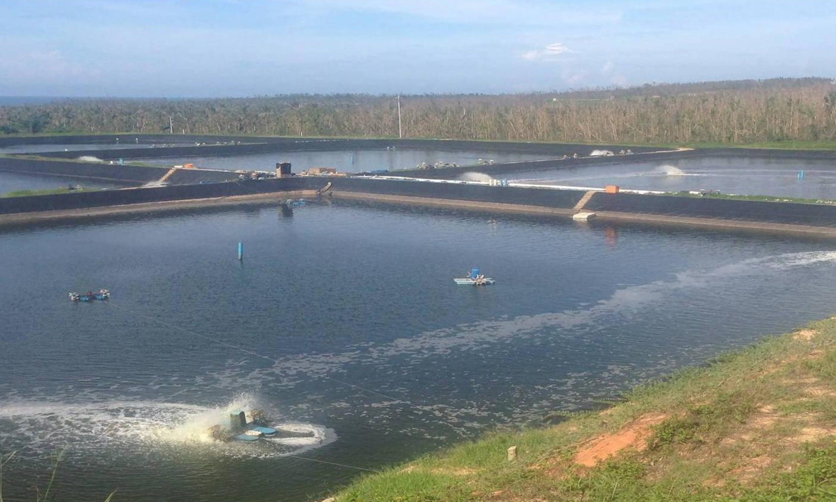 秋冬季节,水产养殖如何应对低温天气并进行越冬管理?